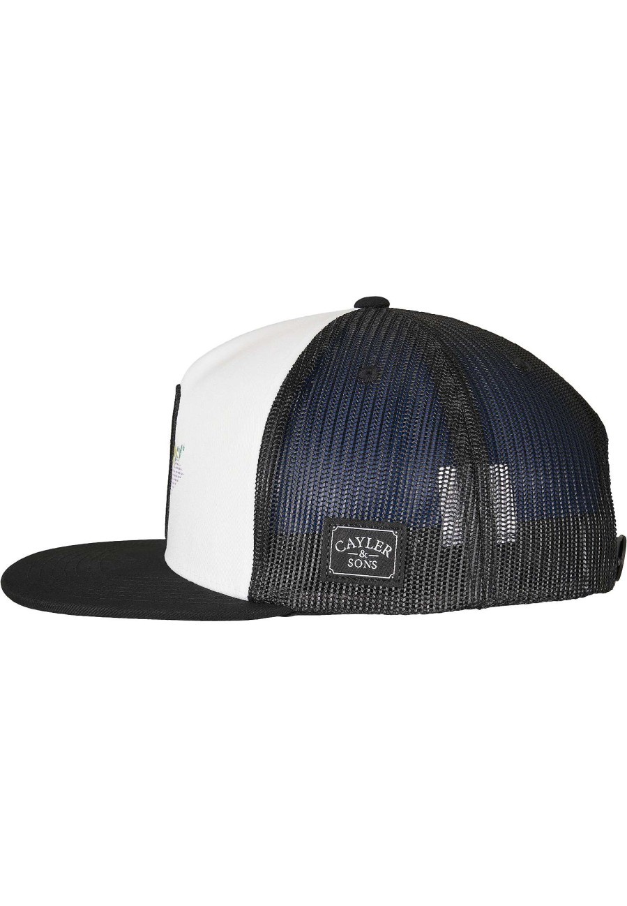 Cayler & Sons Freezing Cool Trucker Cap | Caps